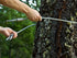 Cable sling being pulled around a tree